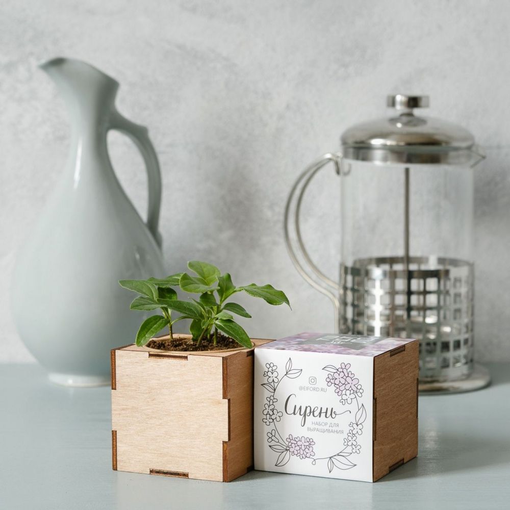 Набор для выращивания «Экокуб Lite» фото на сайте Print Logo.