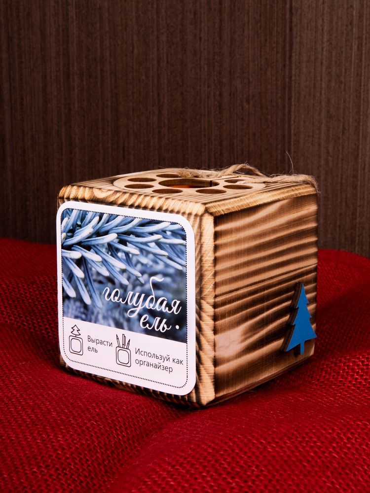 Набор для выращивания с органайзером «Экокуб Burn»