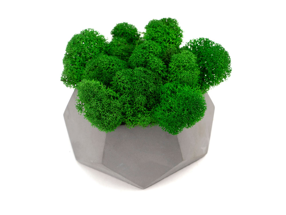 Кашпо бетонное со мхом (альфа-маренго мох зеленый), QRONA