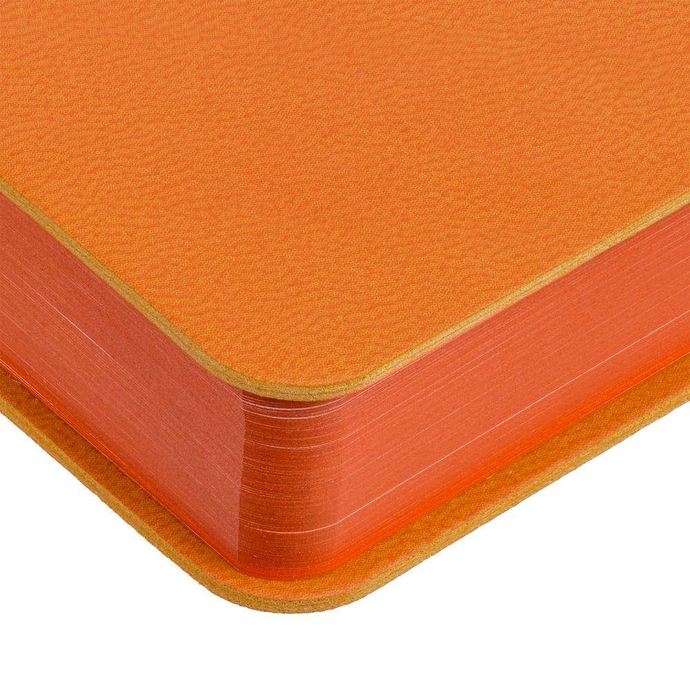 Ежедневник Flexpen Color, датированный