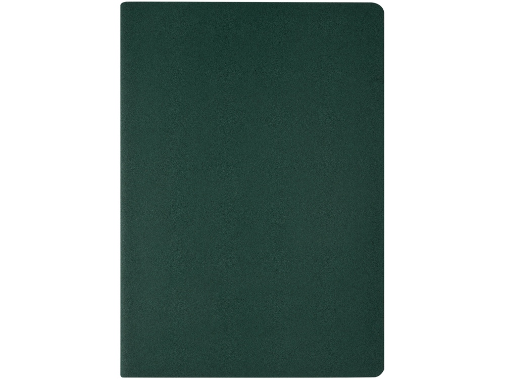 Бизнес-тетрадь А4 Pragmatic,  40л., клетка, зеленый