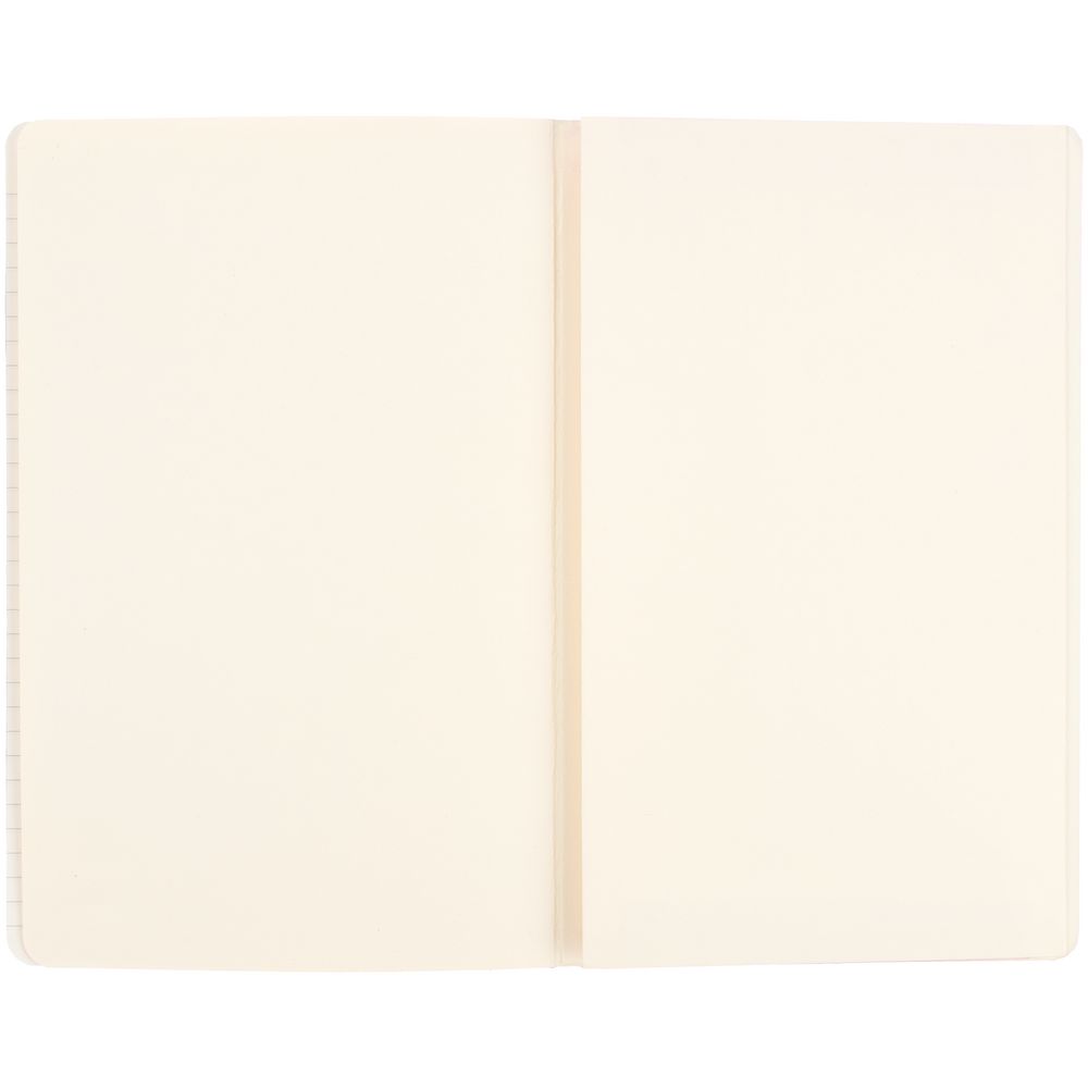 Записная книжка Moleskine Classic Large, в линейку