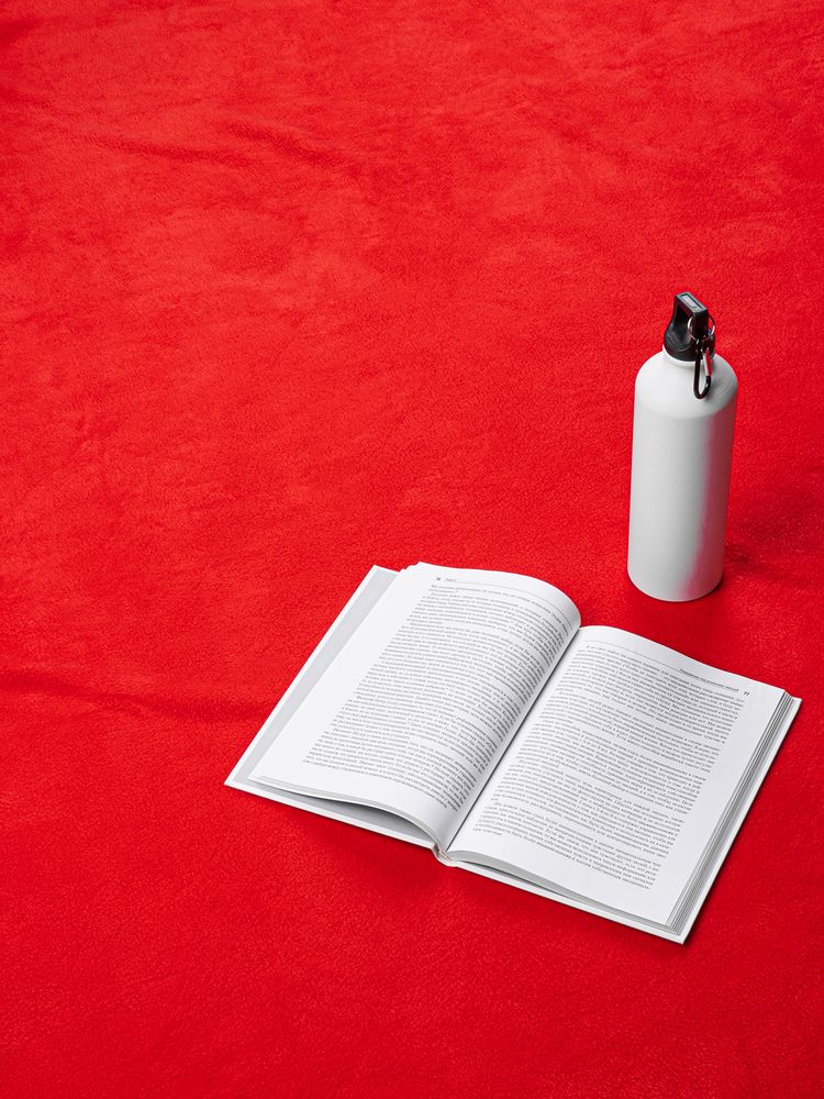 Дорожный плед Voyager 2