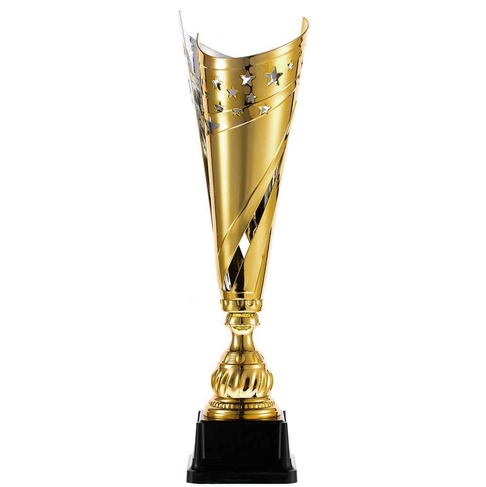 Кубок-факел Flamous Fusion — пример нанесения логотипа () | Print Logo