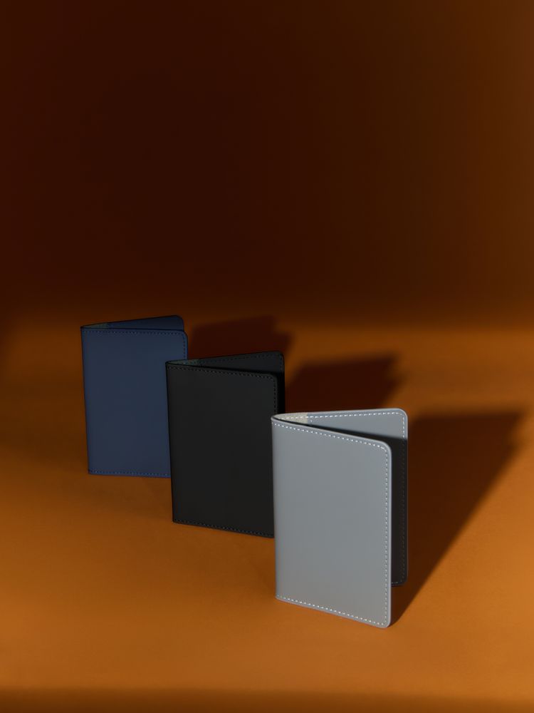 Обложка для паспорта Alaska