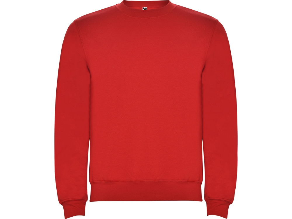 Свитшот с начесом Clasica детский с логотипом Roly | Print Logo