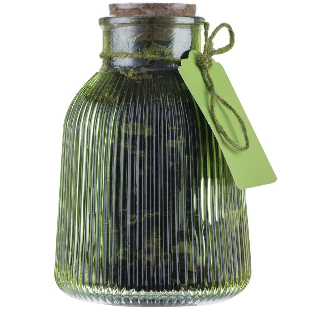 Чай «Сокочай» в зеленой декоративной банке с логотипом сделано в России | Print Logo