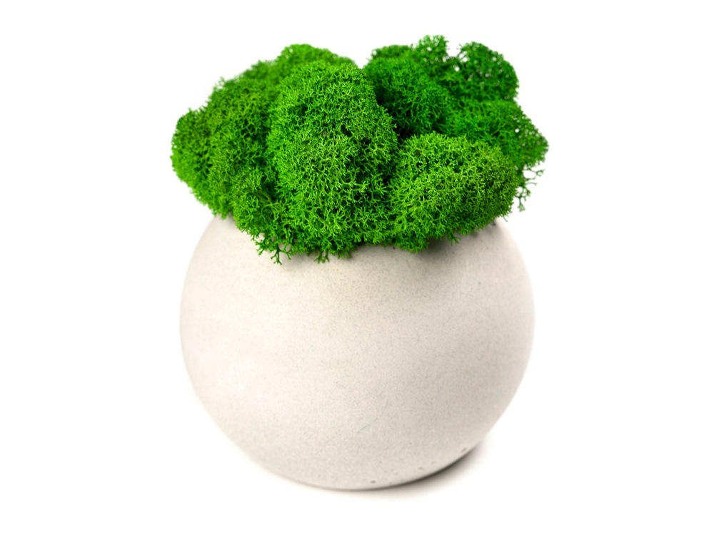 Кашпо бетонное со мхом Сфера с логотипом OKTAUR | Print Logo