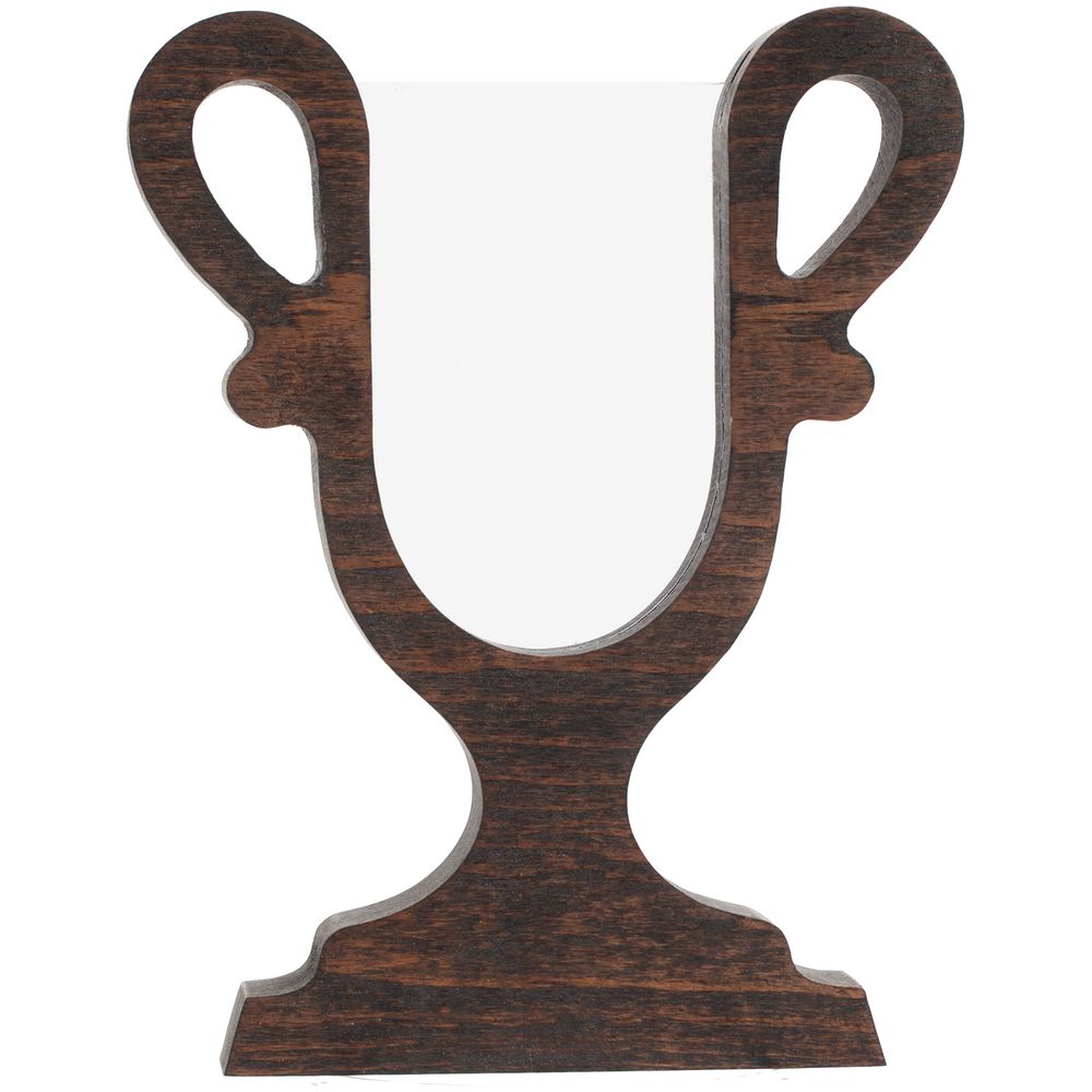 Награда Conquest — пример нанесения логотипа () | Print Logo