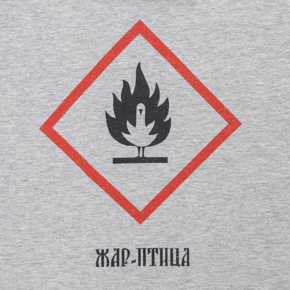 Футболка «Жар-птица» — пример нанесения логотипа (Author's) | Print Logo