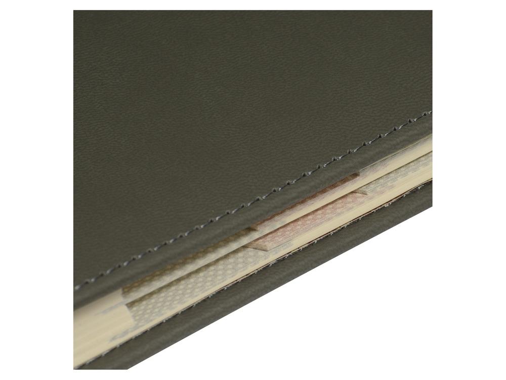 Ежедневник недатированный А5 Velvet Index (серый)