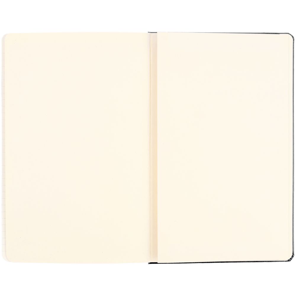 Записная книжка Moleskine Classic Large, без линовки