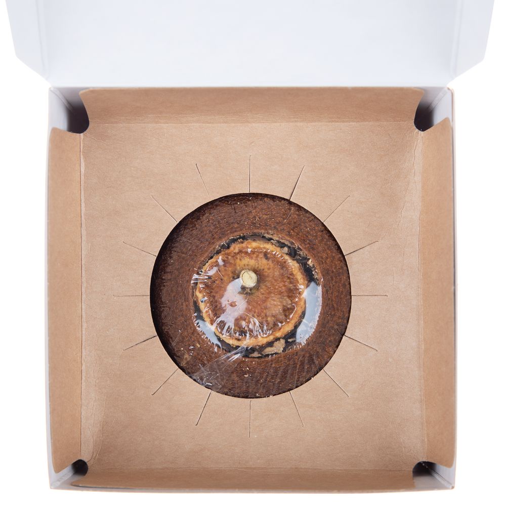 Черный чай Citrus в апельсине с маслом лайма — пример нанесения логотипа (сделано в России) | Print Logo