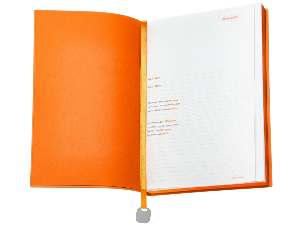 Ежедневник А5 недатированный Mercury, серый