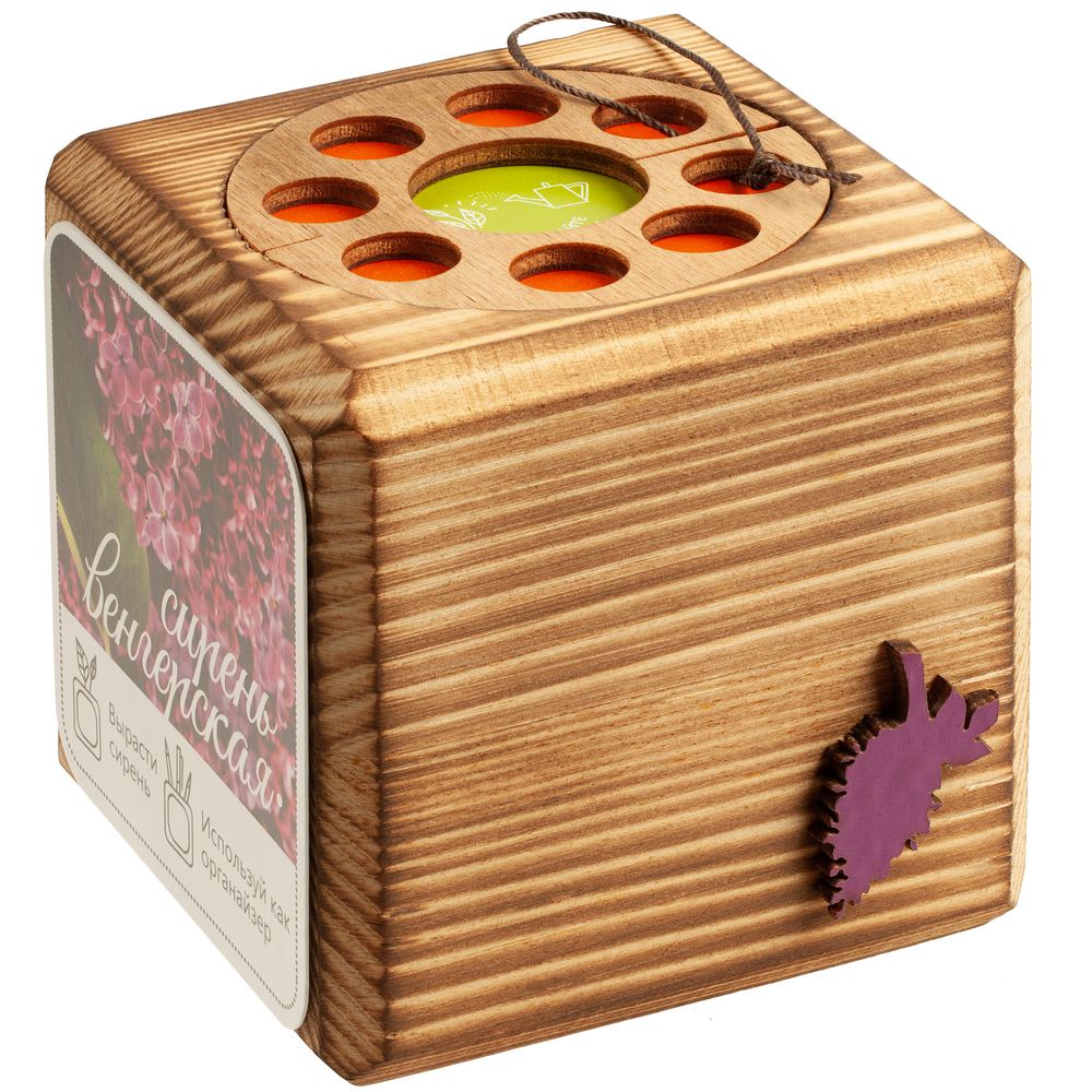 Набор для выращивания с органайзером «Экокуб Burn»