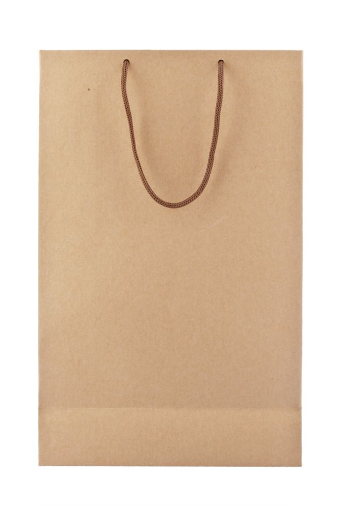 Пакет бумажный «Крафт», M — пример нанесения логотипа () | Print Logo