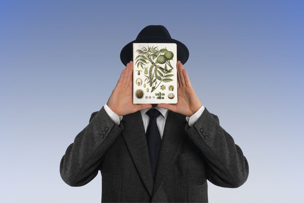 Кружка «Грецкий орех» — пример нанесения логотипа (Принтэссенция) | Print Logo