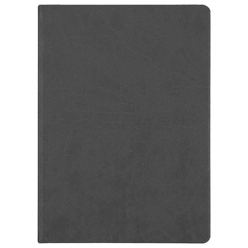 Ежедневник Basis, датированный