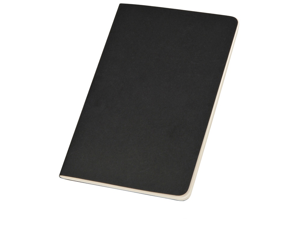 Записная книжка А5 (Large) Cahier (нелинованный) с логотипом Moleskine | Print Logo