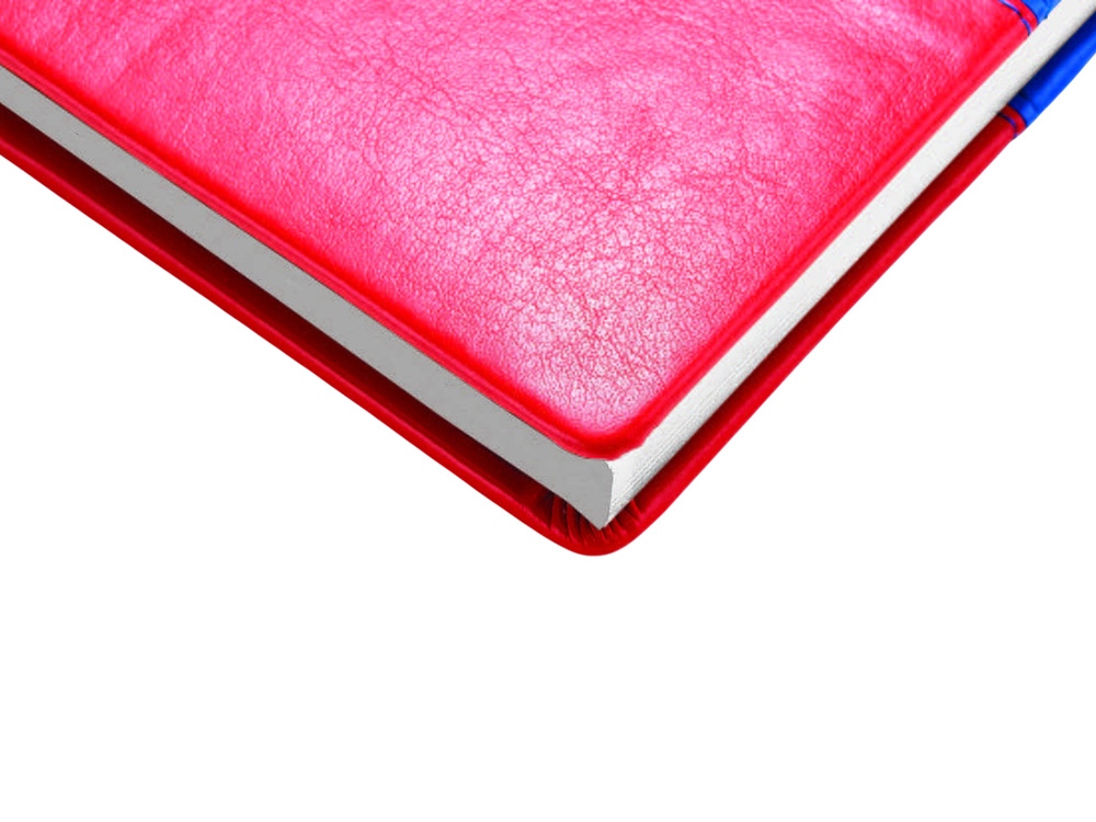 Ежедневник недатированный А5+ Россия. Флаг