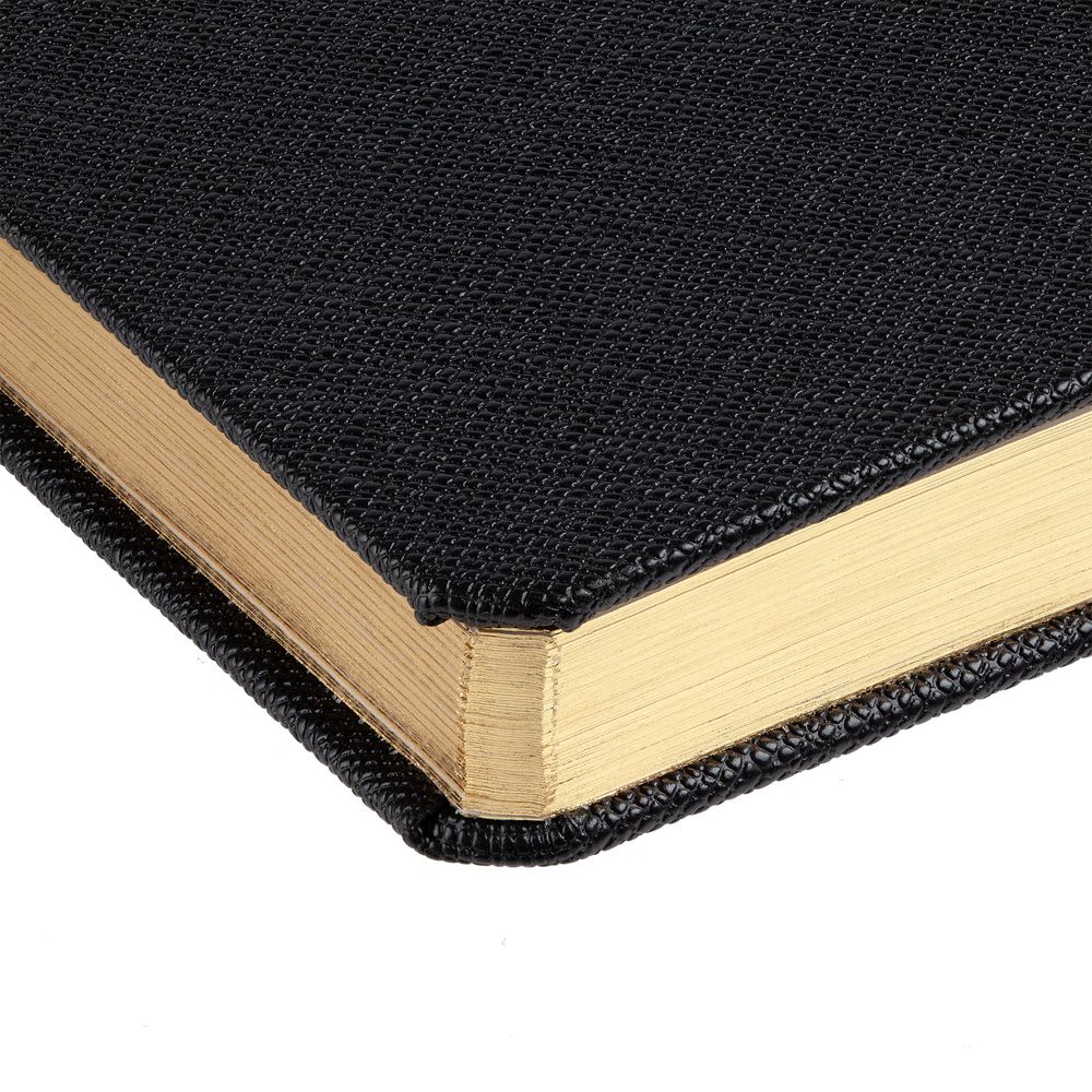 Ежедневник Saffian, недатированный