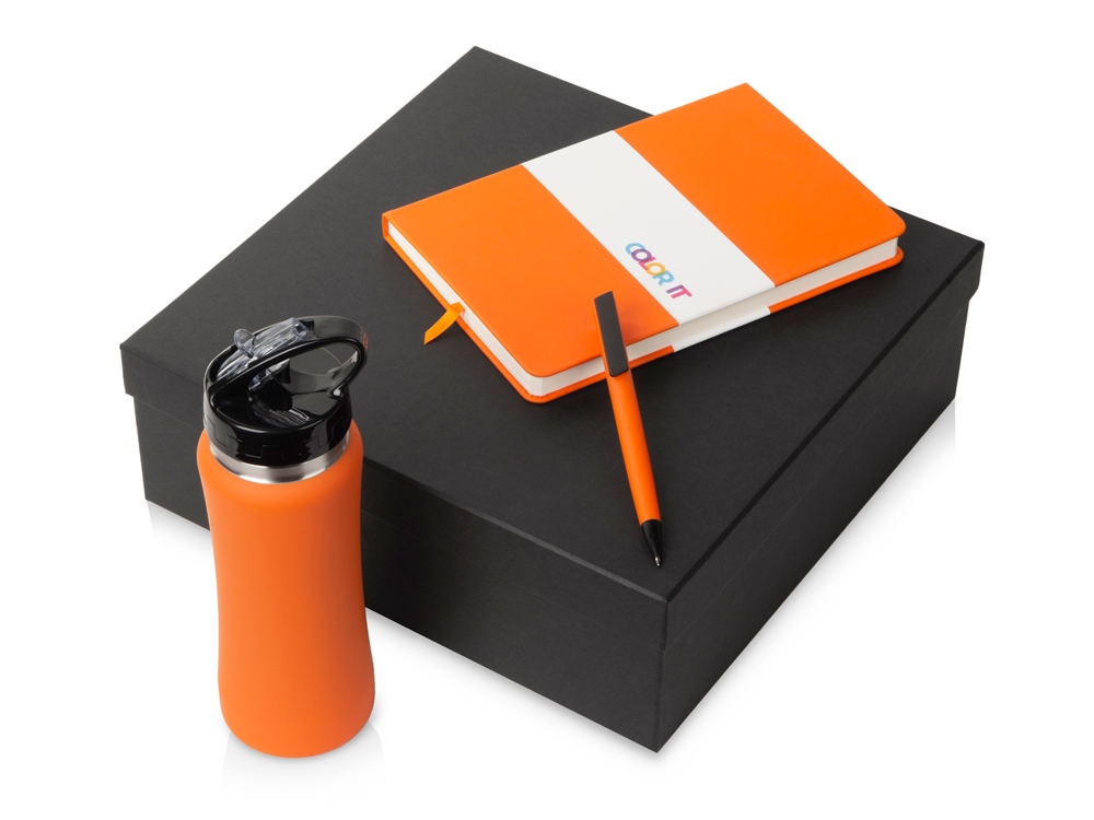 Подарочный набор c блокнотом C3, ручкой и бутылкой с логотипом  | Print Logo