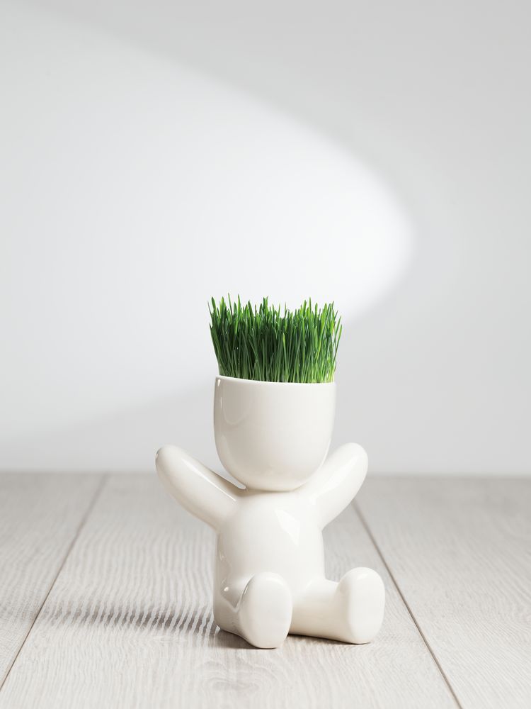 Набор для выращивания Funky Headman