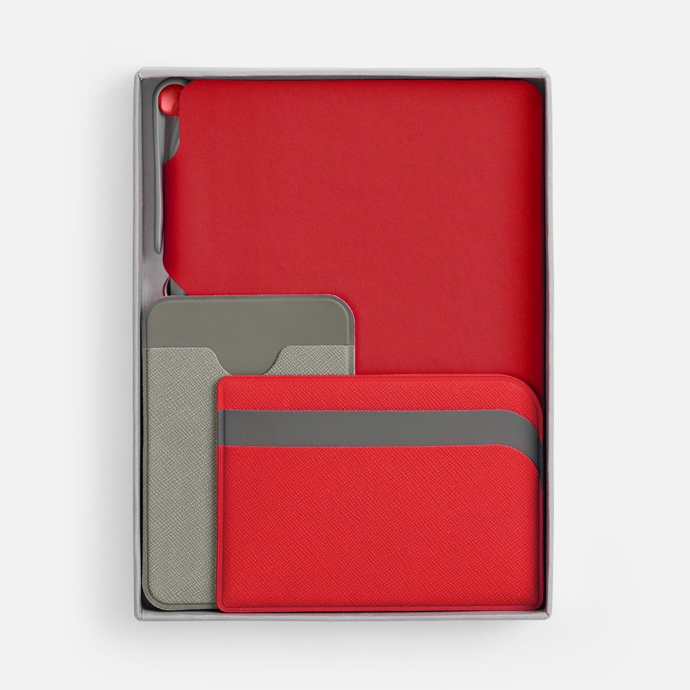 Набор Flexpen Dual