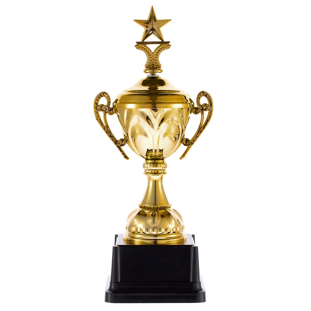 Кубок Top Star с логотипом  | Print Logo