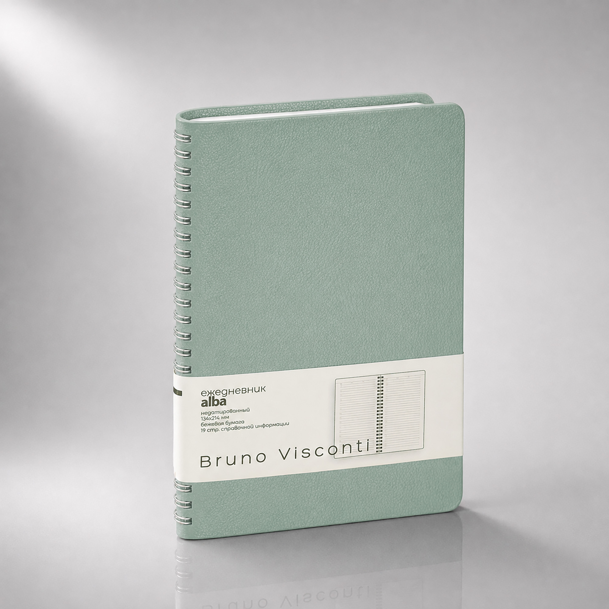 Ежедневник недатированный А5 Alba с логотипом Bruno Visconti | Print Logo
