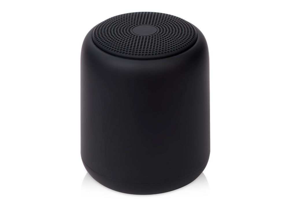 Портативная колонка TWS Steep, 5 Вт с логотипом Evolt | Print Logo