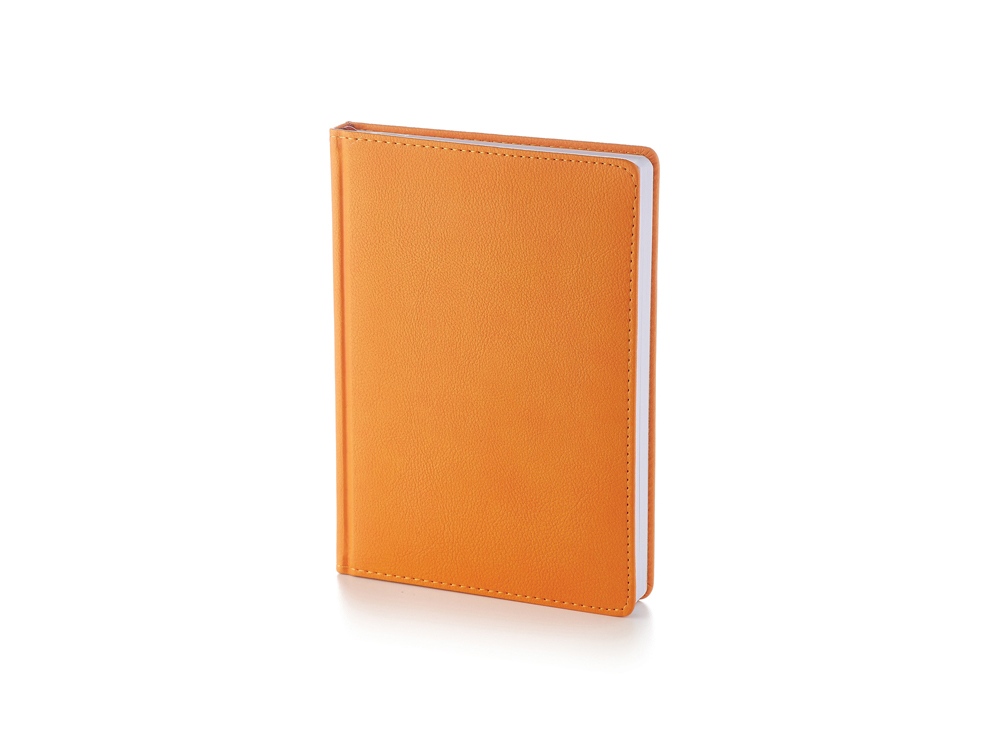 Ежедневник А5 недатированный Leader с логотипом Bruno Visconti | Print Logo