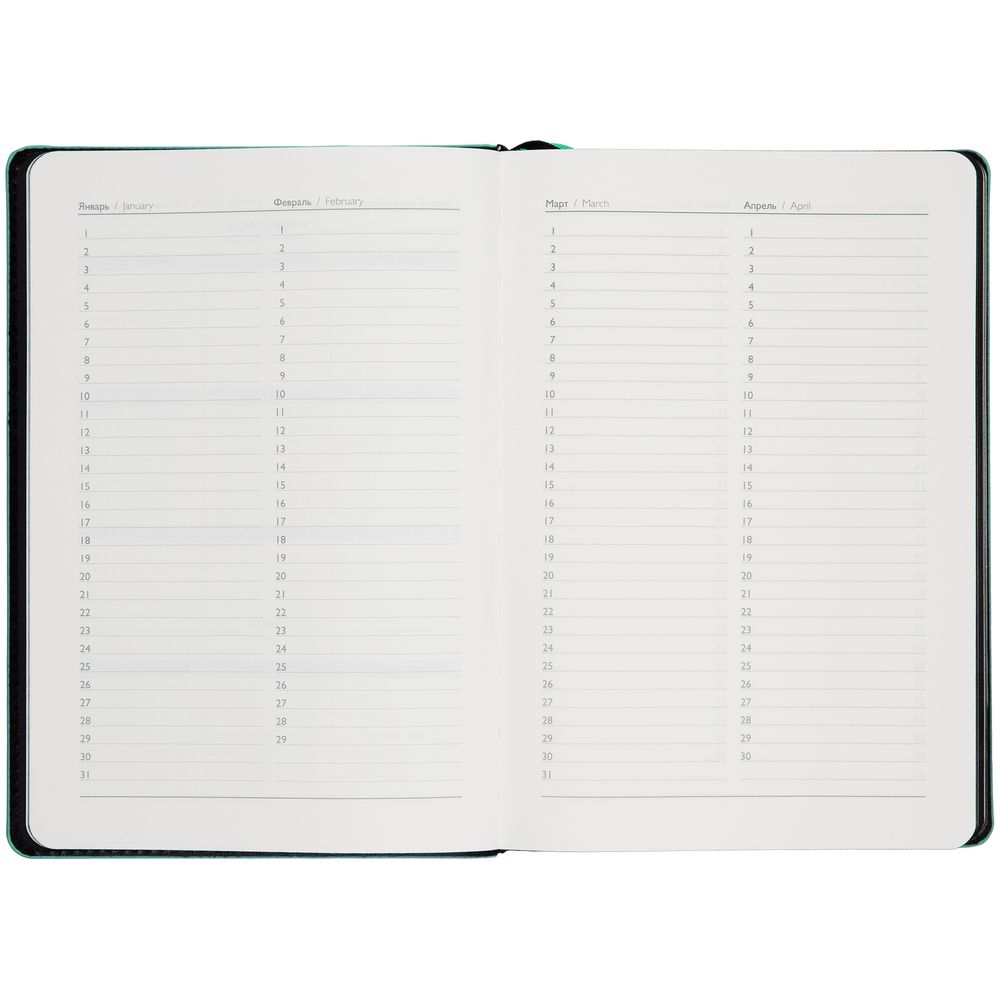 Ежедневник Alanis, недатированный