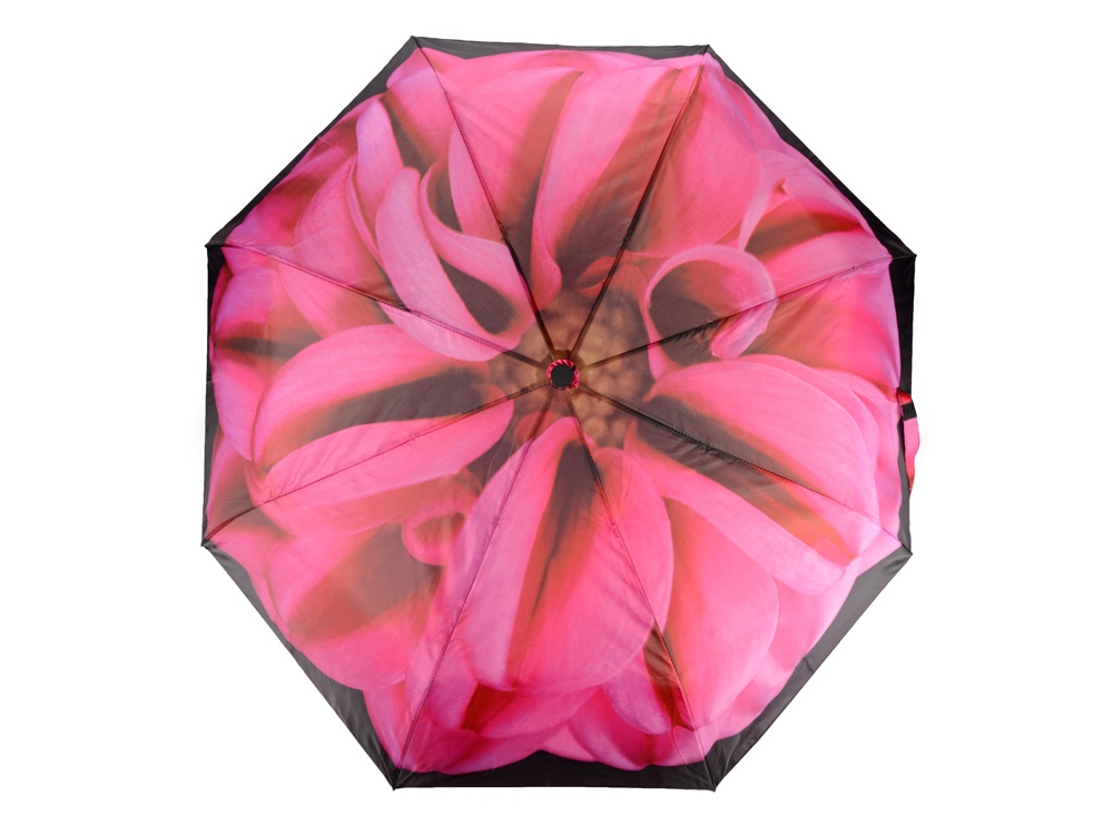 Набор Георгин, черный/розовый