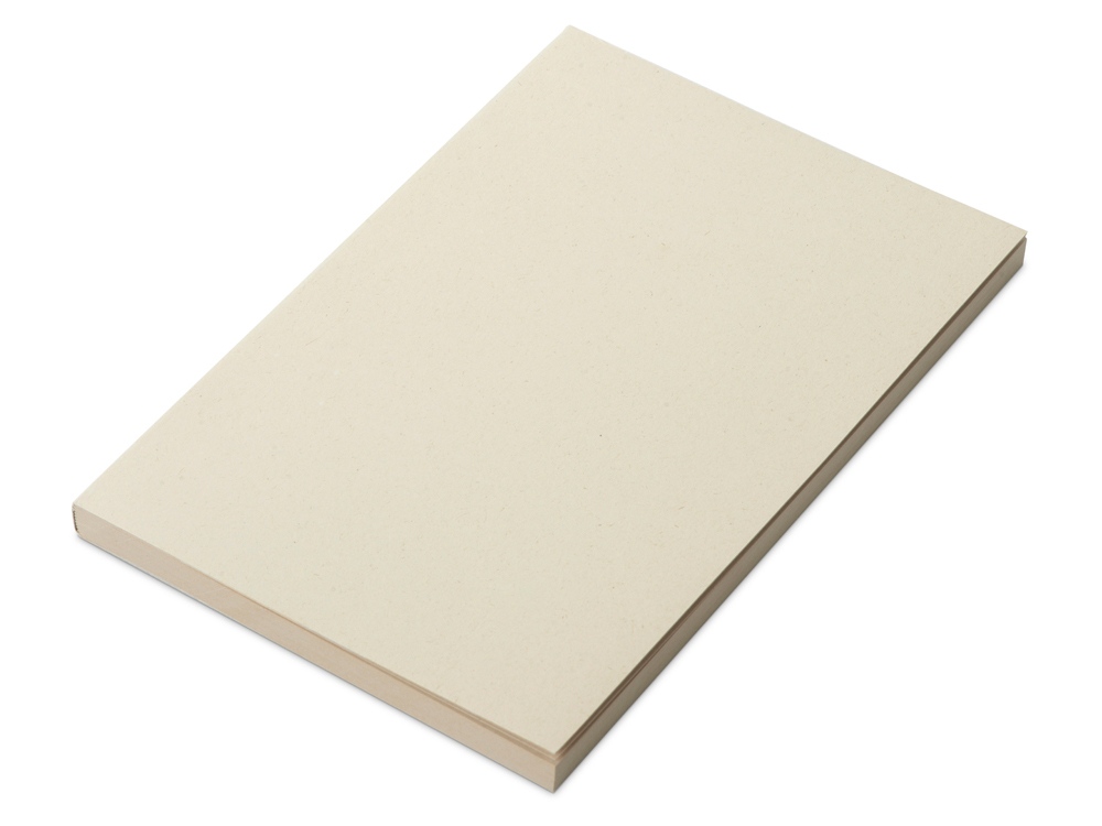 Блокнот А5 из переработанного тростника Adiantum с логотипом Savio | Print Logo