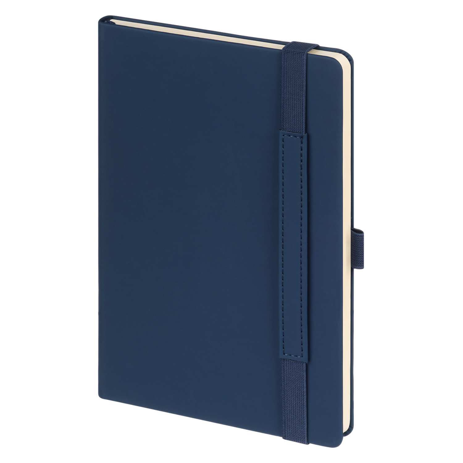 Ежедневник Альфа (Alpha) недатированный, синий/голубой