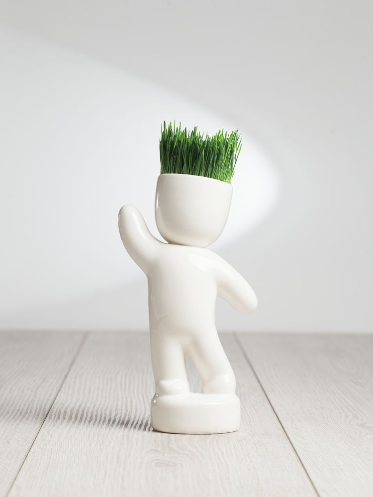 Набор для выращивания Funky Headman