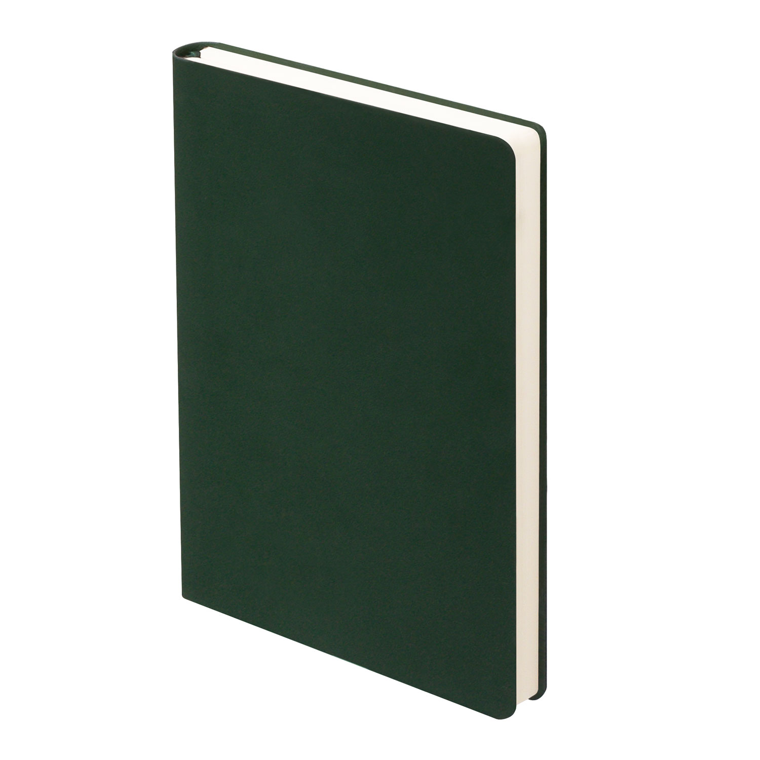 Ежедневник Latte Ecoline недатированный с антибактериальным покрытием, зеленый фото на сайте Print Logo.