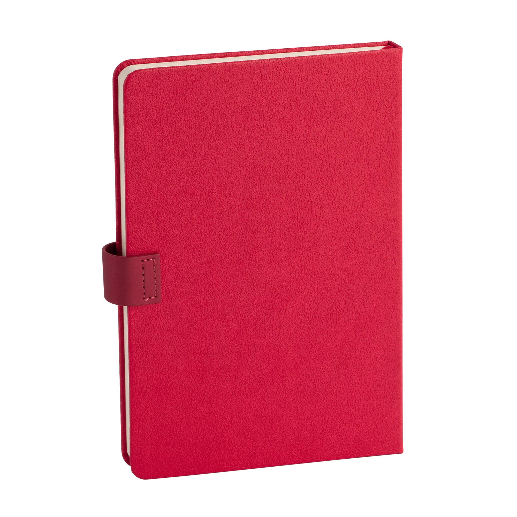 Ежедневник недатированный "Монти", формат А5, бирюзовый