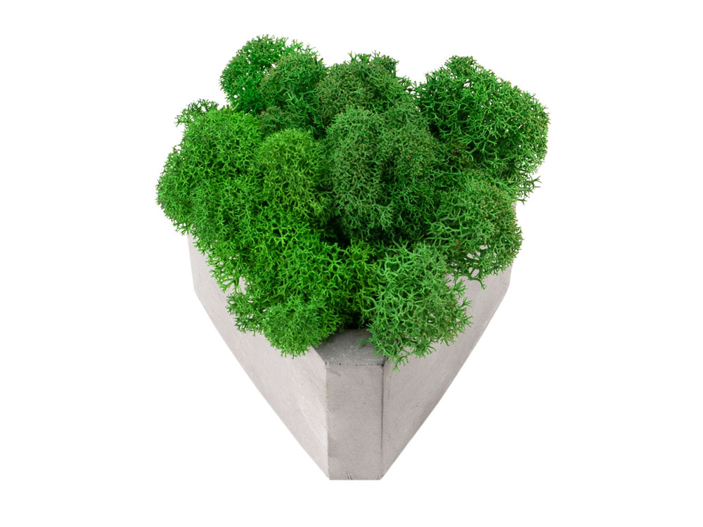 Кашпо бетонное со мхом (гама-циркон мох зеленый), QRONA