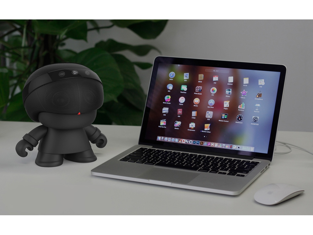 Портативная колонка XOOPAR Grand XBOY, черный (Р)