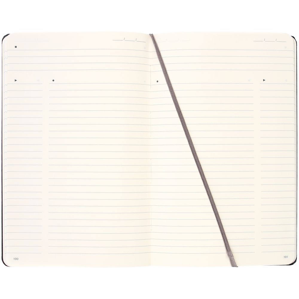 Записная книжка Moleskine Professional Large фото на сайте Print Logo.