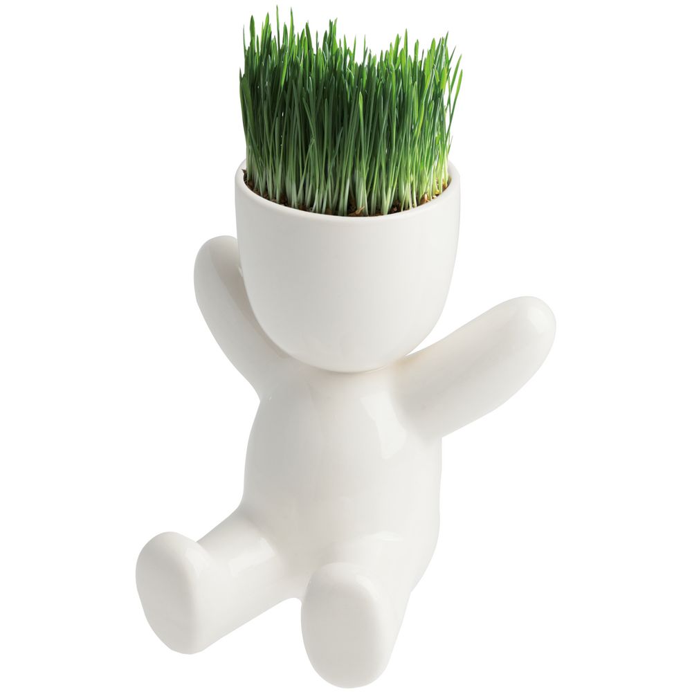 Набор для выращивания Funky Headman с логотипом  | Print Logo