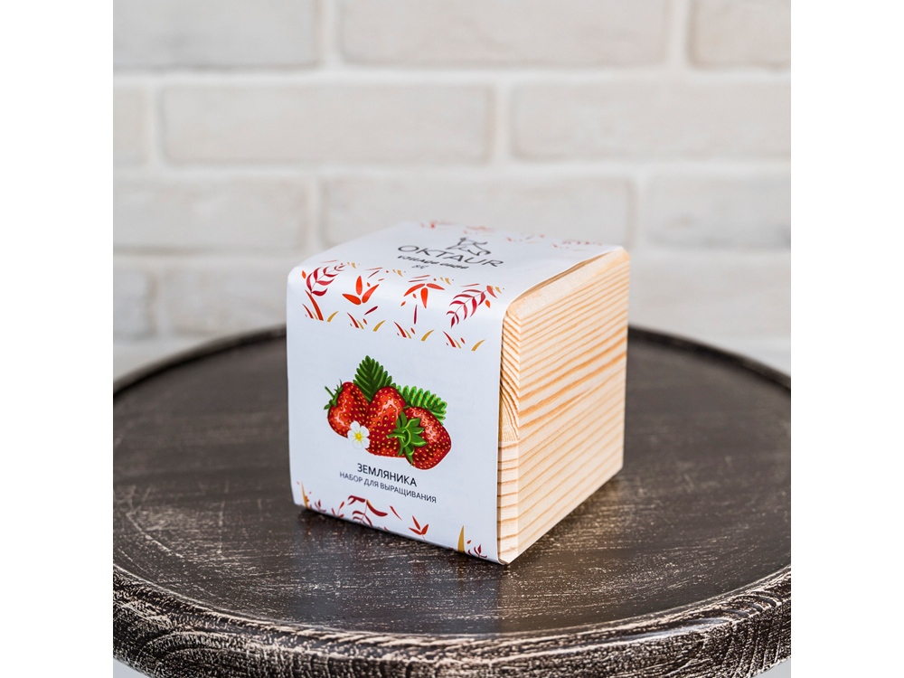 Набор для выращивания Big village cube Земляника