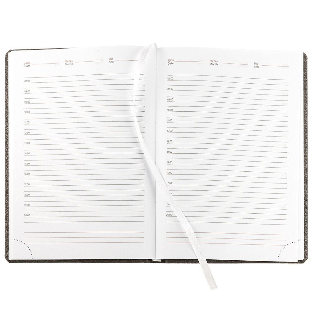 Ежедневник Sagrin, недатированный