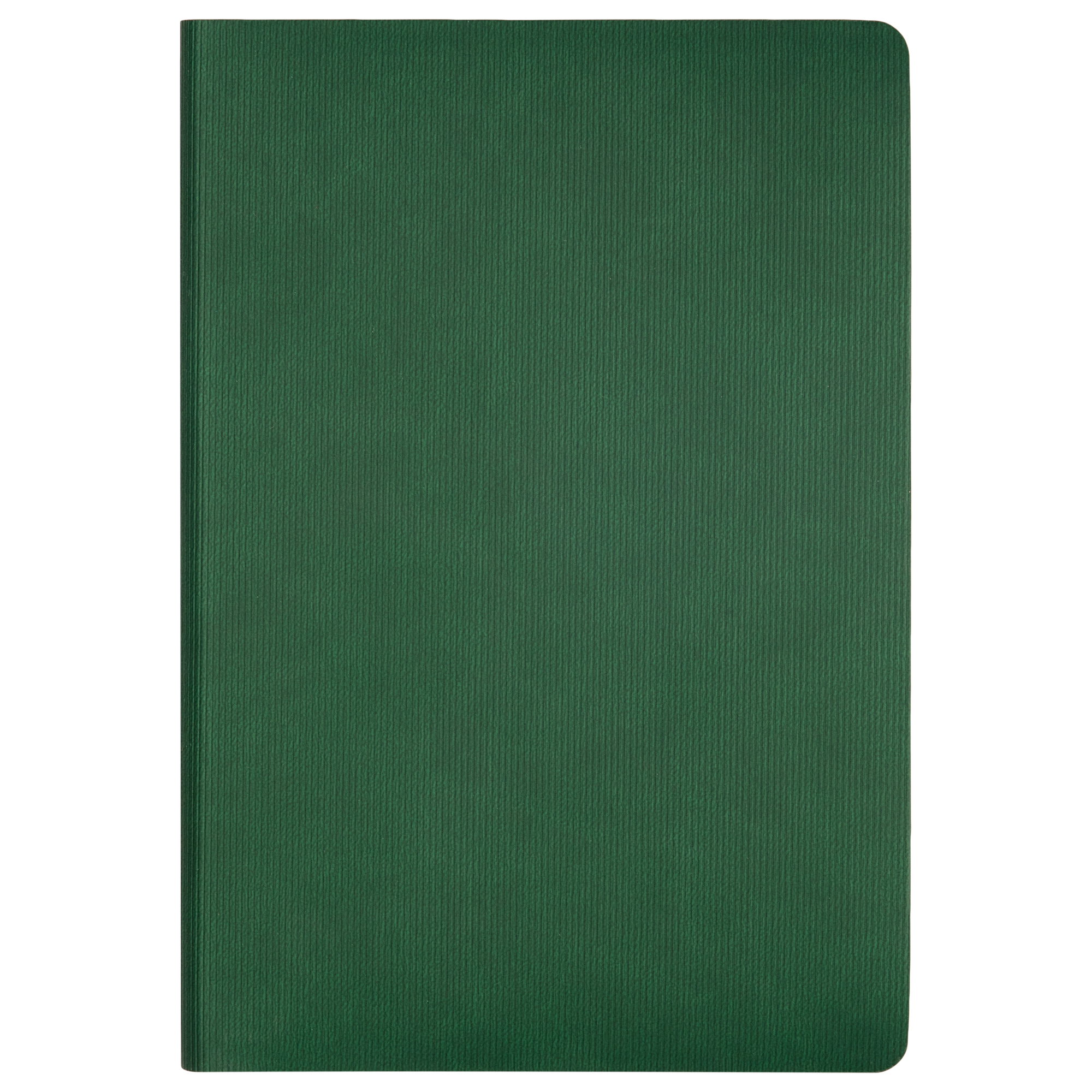 Ежедневник Рейн (Rain) недатированный, зеленый (без упаковки, без стикера)