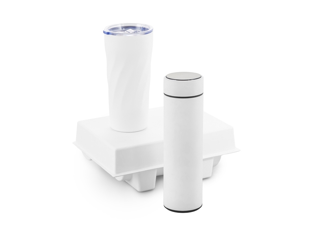 Подарочный набор FAMILY с термосом и термокружкой с логотипом  | Print Logo