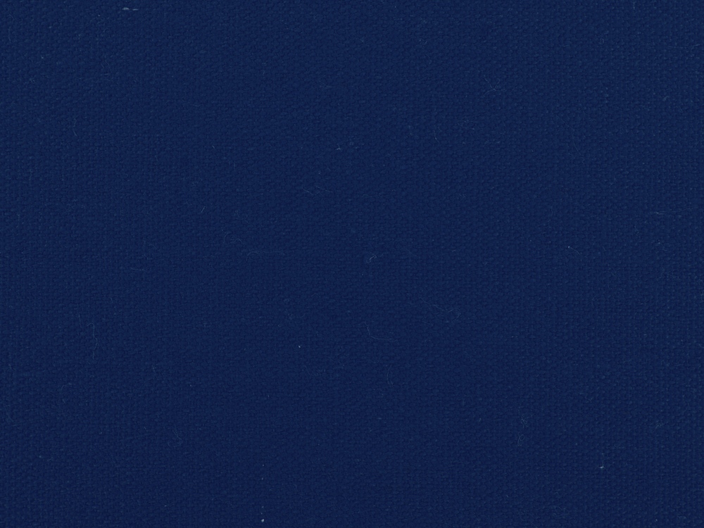 Сумка для шопинга Steady из хлопка с парусиновыми ручками, 260 г/м2, темно-синий