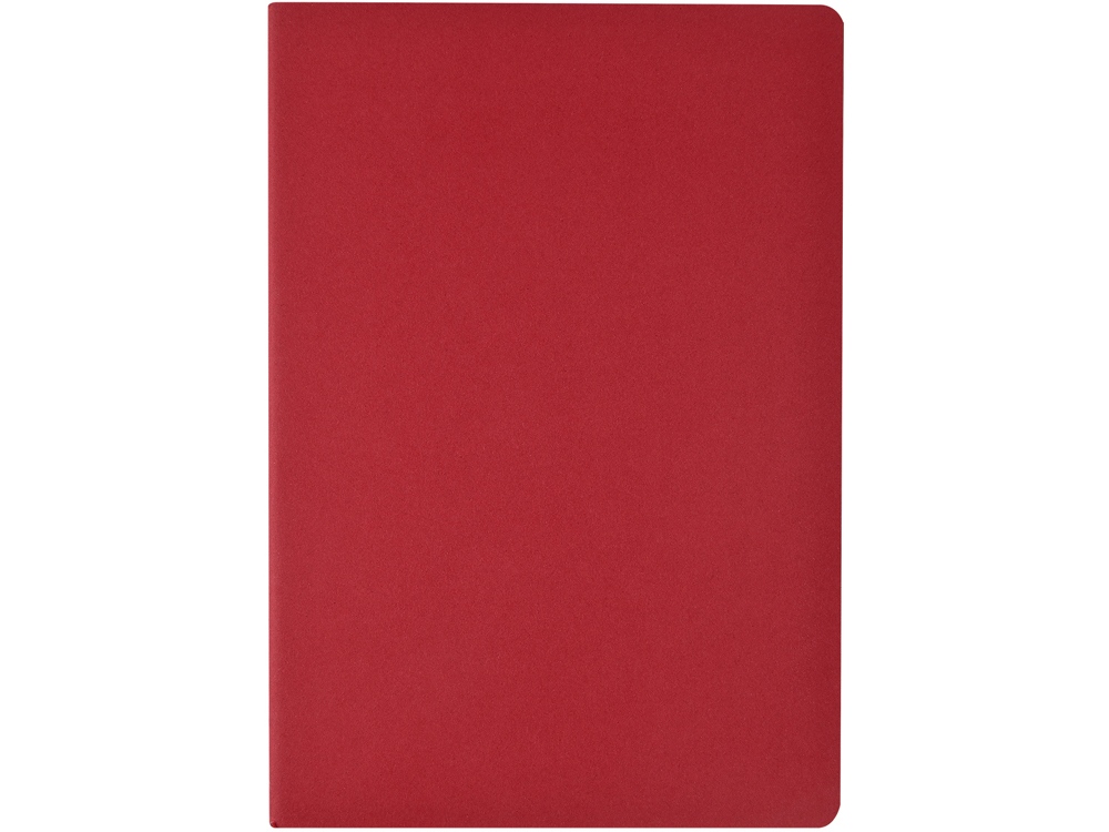 Бизнес-тетрадь А4 Pragmatic,  40л., клетка, красный