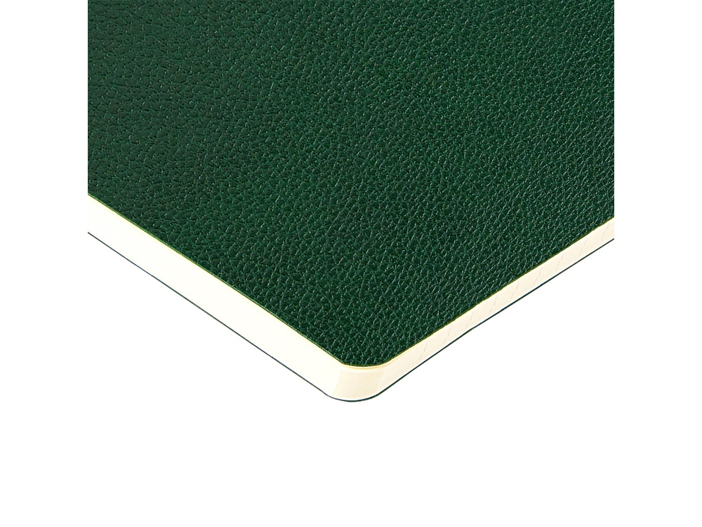 Бизнес-тетрадь А5 Megapolis Loft Flex 60 л., линейка, зеленый